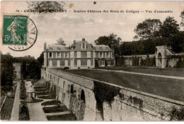 CHATILLON-COLIGNY: Ancien Château Des Sires De Coligny, Vue D'ensemble - Très Bon état - Chatillon Coligny