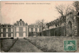 CHATILLON-COLIGNY: Ancien Château Des Sires De Coligny - Très Bon état - Chatillon Coligny