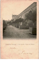 CHATILLON-COLIGNY: Les Arcades, Serres Du Château - état - Chatillon Coligny