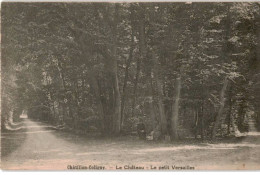 CHATILLON-COLIGNY: Le Château Le Petit Versailles - Très Bon état - Chatillon Coligny