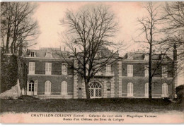 CHATILLON-COLIGNY: Galerie Du XVIIe Siècle Magnifique Terrasse Restes D'un Château Des Sires De Colligny- Très Bon état - Chatillon Coligny