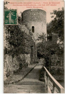 CHATILLON-COLIGNY: Tour Du Vauvert Anciennes Fortifications Côté Est XVe Siècle, Jardin Becquerel - Très Bon état - Chatillon Coligny