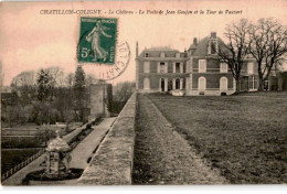 CHATILLON-COLIGNY: La Château Le Puits De Jean Goujon Et La Tour De Vauvert - Très Bon état - Chatillon Coligny