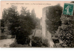 CHATILLON-COLIGNY: La Tour De Vauvert Et Le Milleron - Très Bon état - Chatillon Coligny