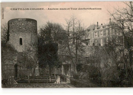 CHATILLON-COLIGNY: Anciens Murs Et Tour Des Fortifications - Très Bon état - Chatillon Coligny