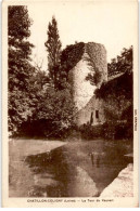 CHATILLON-COLIGNY: La Tour Du Vauvert - Très Bon état - Chatillon Coligny