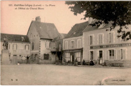 CHATILLON-COLIGNY: La Place Et L'hôtel Du Cheval Blanc - Très Bon état - Chatillon Coligny