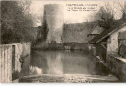 CHATILLON-COLIGNY: Les Bords Du Loing La Tour Du Veau-vert - Très Bon état - Chatillon Coligny