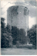 CHATILLON-COLIGNY: Le Donjon Du Château XIIe Siècle - Très Bon état - Chatillon Coligny