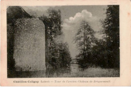 CHATILLON-COLIGNY: Tour De L'ancien Château De Briquemault - Très Bon état - Chatillon Coligny