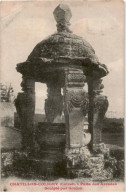 CHATILLON-COLIGNY: Puits Des Arcades Sculpté Par Goujon - état - Chatillon Coligny