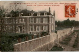 CHATILLON-COLIGNY: Galeries Du XVIIe Siècle Magnifique Terrasse Restes D'un Château Des Sires De Coligny - Très Bon état - Chatillon Coligny