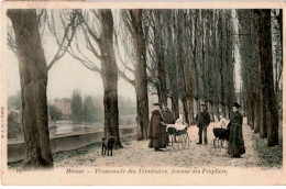 MEAUX: Promenade Des Trinitaires Avenue Des Peupliers - Très Bon état - Meaux