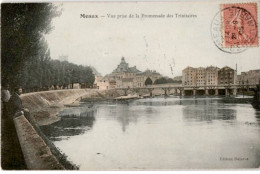 MEAUX: Vue Prise De A Promenade Des Trinitaires - Très Bon état - Meaux