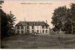 CHATILLON-COLIGNY: Château De Puiseaux - Très Bon état - Chatillon Coligny