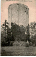 CHATILLON-COLIGNY: Le Donjon XVe Siècle - Très Bon état - Chatillon Coligny