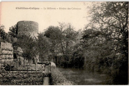 CHATILLON-COLIGNY: Le Milleron, Rivière Des Créneaux - Très Bon état - Chatillon Coligny