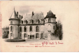 CHATILLON-COLIGNY: Château De Mivoisin Nogent-sur-vernisson - Très Bon état - Chatillon Coligny