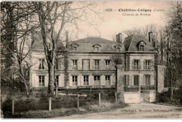 CHATILLON-COLIGNY: Château De Rivière - Très Bon état - Chatillon Coligny