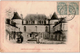 CHATILLON-COLIGNY: Château De Mivoisin - Très Bon état - Chatillon Coligny