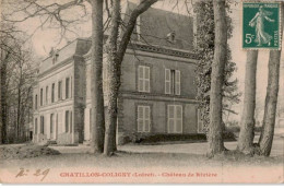 CHATILLON-COLIGNY: Château De Rivière - Très Bon état - Chatillon Coligny