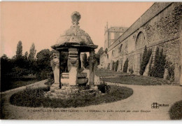 CHATILLON-COLIGNY: Le Château Le Puits Sculpté Par Jean Goujon - Très Bon état - Chatillon Coligny