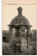 CHATILLON-COLIGNY: Puits Sculpté Par Jean Goujon - Très Bon état - Chatillon Coligny