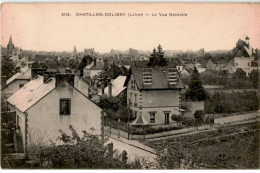 CHATILLON-COLIGNY: La Vue Générale - état - Chatillon Coligny