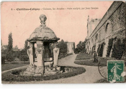 CHATILLON-COLIGNY: Château Les Arcades Puits Sculpté Par Jean Goujon - état - Chatillon Coligny