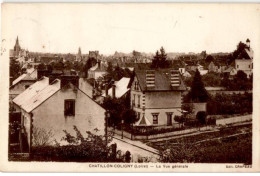 CHATILLON-COLIGNY: La Vue Générale - Très Bon état - Chatillon Coligny