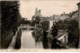 NEMOURS: Les Petits Fossés - état - Nemours