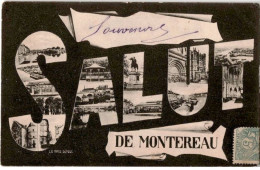 MONTEREAU: Salut De Montereau, Souvenir - Très Bon état - Montereau