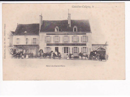 CHATILLON-COLIGNY - Hôtel Du Cheval Blanc - Très Bon état - Chatillon Coligny