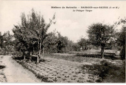 SAMOIS-sur-SEINE: Maison De Retraite Le Potager Verger - Très Bon état - Samois