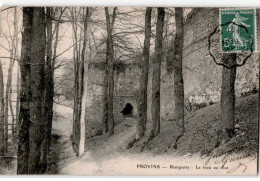 PROVINS: Remparts Le Trou Au Chat - Très Bon état - Provins