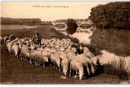 VAIRES: Bords De Marne, Berger Et Moutons - Très Bon état - Vaires Sur Marne