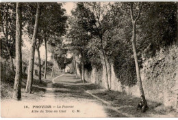 PROVINS: La Poterne Allée Du Trou Au Chat - Très Bon état - Provins