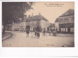 CHATILLON-COLIGNY - Place De La Croix Blanche - Très Bon état - Chatillon Coligny