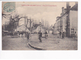 CHATILLON-COLIGNY - Place De La Croix Blanche - Très Bon état - Chatillon Coligny