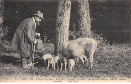 En Périgord - L'apprentissage - Truffe - Cochons - Très Bon état - Autres & Non Classés