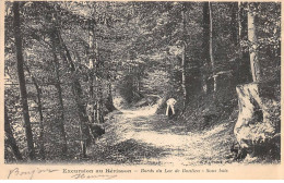 Excursion Au HERISSON - Bords Du Lac De Bonlieu - Sous Bois - Très Bon état - Autres & Non Classés