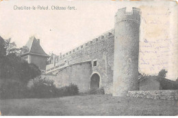 CHATILLON LA PALUD - Château Fort - état - Zonder Classificatie