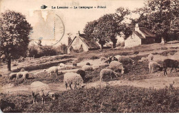LE LONZAC - La Campagne - Filleul - état - Other & Unclassified