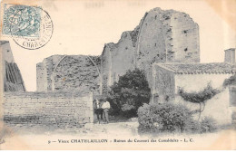 Vieux CHATELAILLON - Ruines Du Château Des Camaldules - Très Bon état - Châtelaillon-Plage