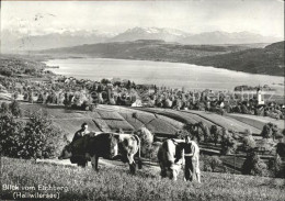 11627573 Hallwilersee Blick Vom Eichberg Hallwilersee - Andere & Zonder Classificatie