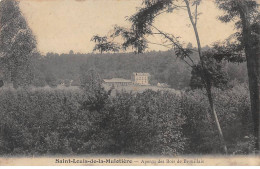 SAINT LOUIS DE LA MULOTIERE - Apreçu Des Bois De Brouillais - Très Bon état - Altri & Non Classificati