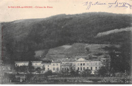 SAINT VALLIER SUR RHONE - Château Des Rioux - Très Bon état - Andere & Zonder Classificatie