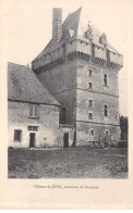 Château De JOUE - Commune De Pioussais - Très Bon état - Other & Unclassified