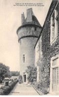 Château De BOUESSE EN BERRY - La Terrasse Et Les Boulets De Catapulte - Très Bon état - Autres & Non Classés