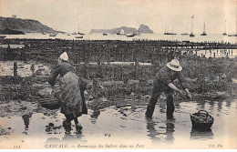 CANCALE - Ramassage Des Huîtres Dans Un Parc - Très Bon état - Cancale